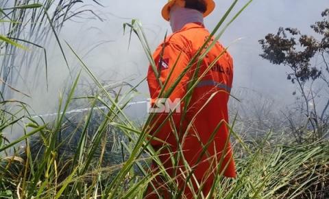 RJ-106: Defesa Civil combate fogo em vegetação no bairro de São José 